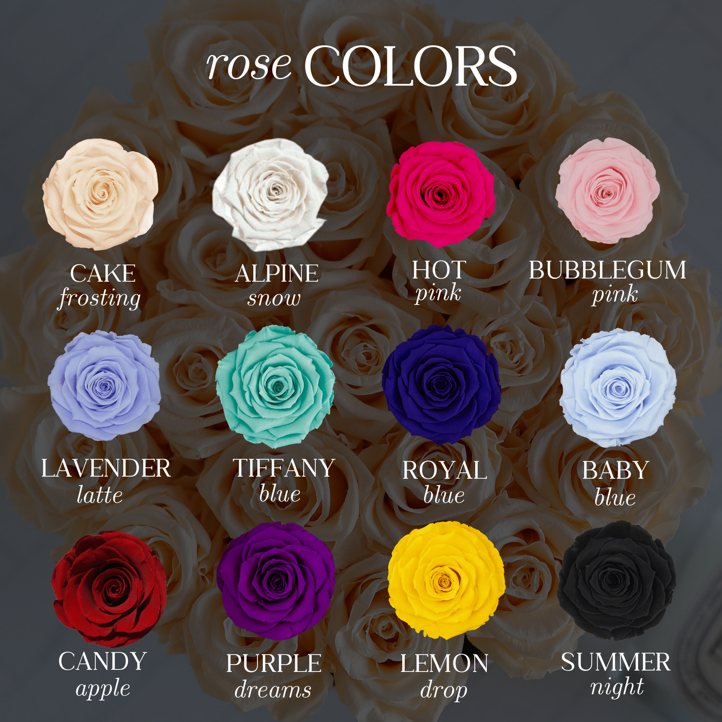 Grande Square Rose Box