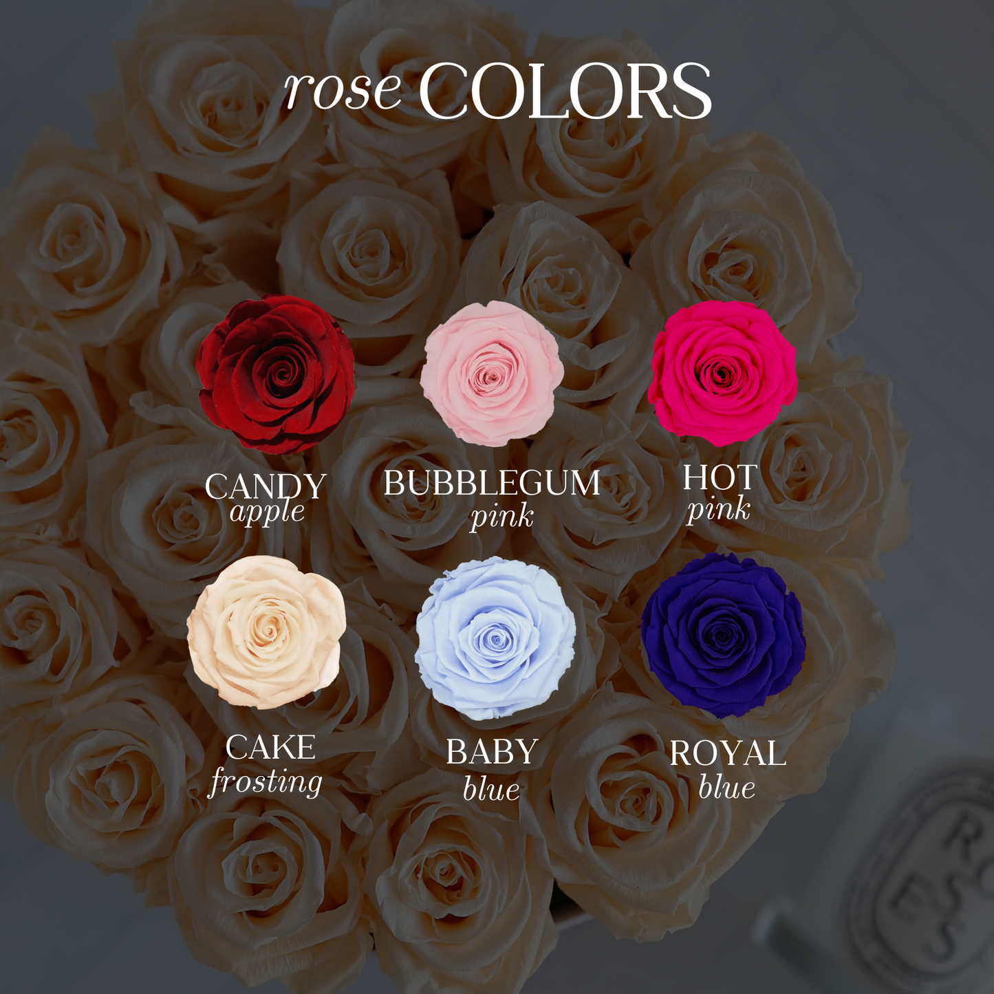 New Baby Personalized Rose Box