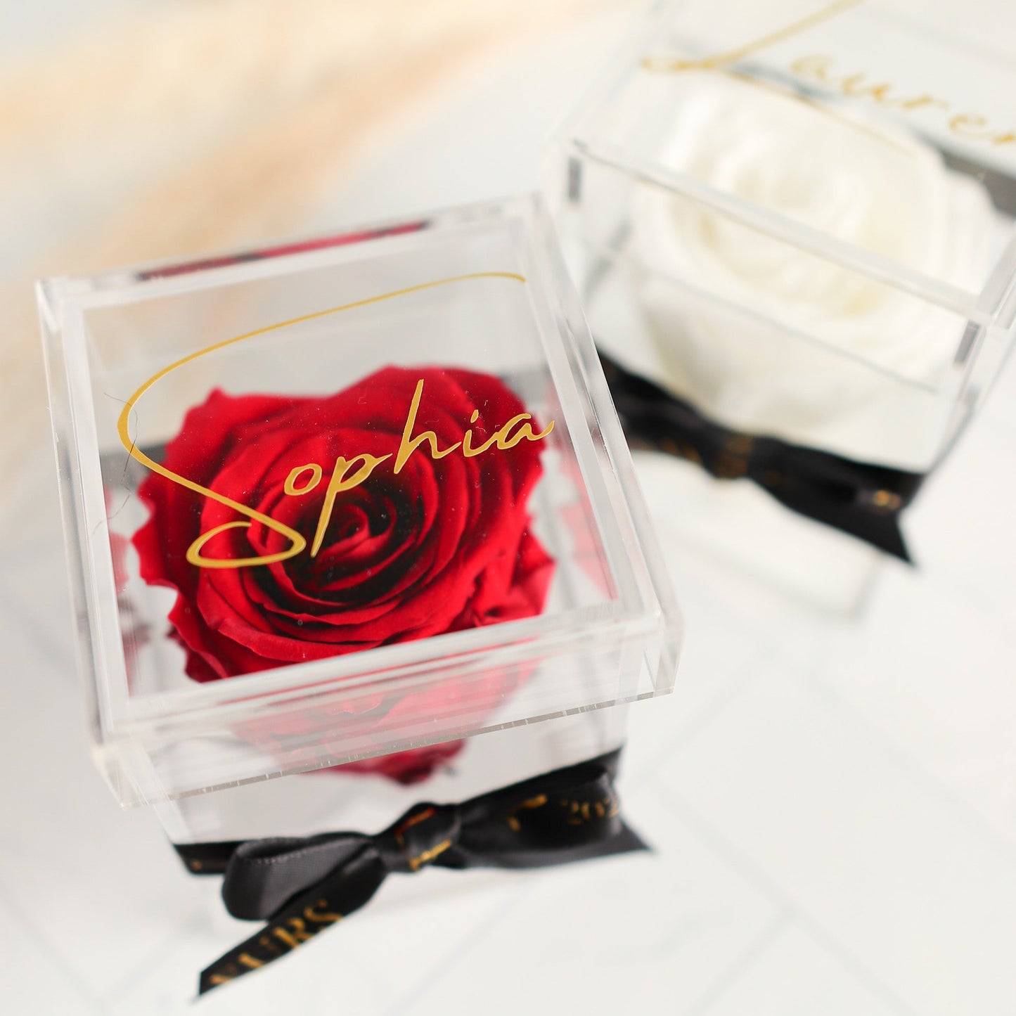 Single Rose in Personalized Acrylic Case