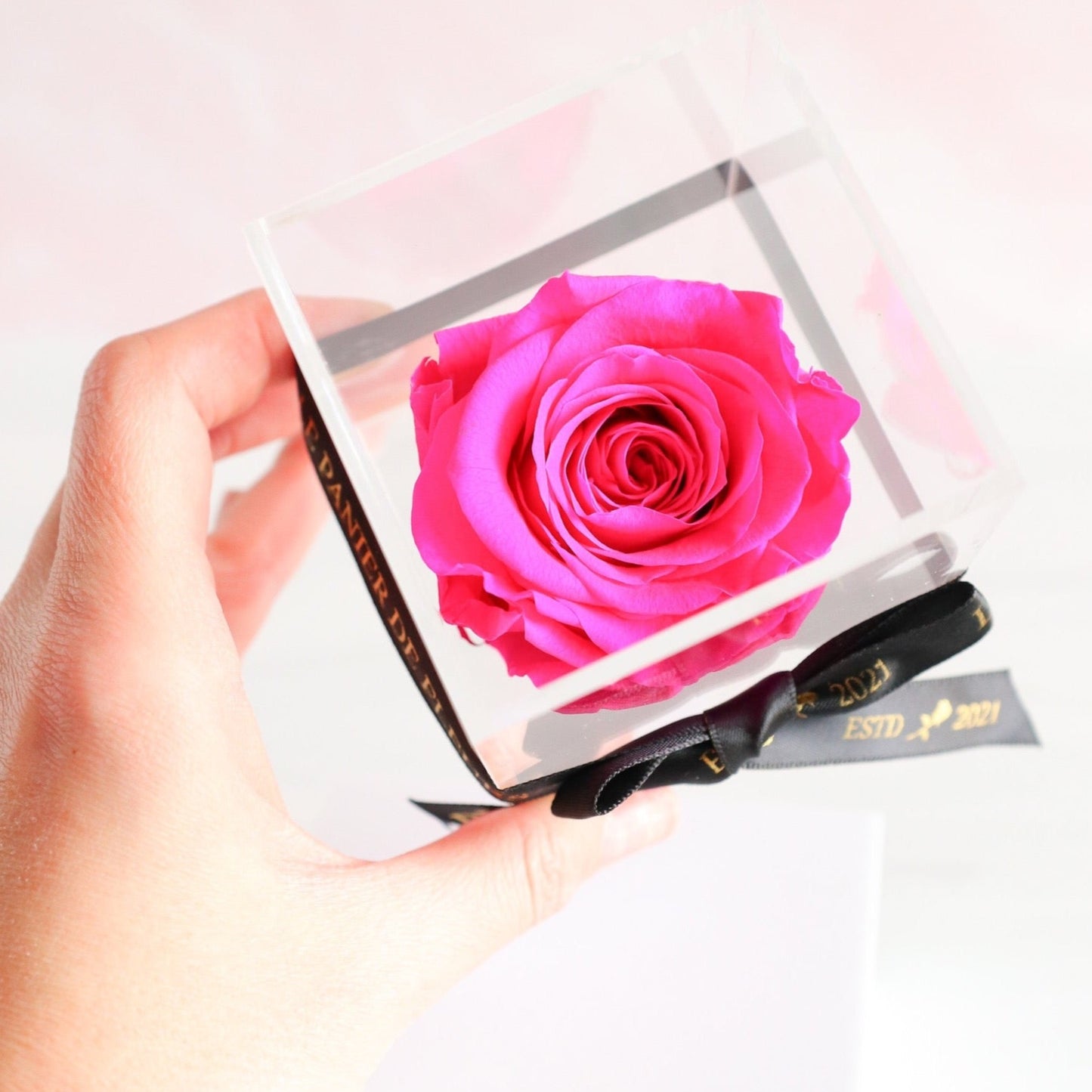 Single Rose in Personalized Acrylic Case