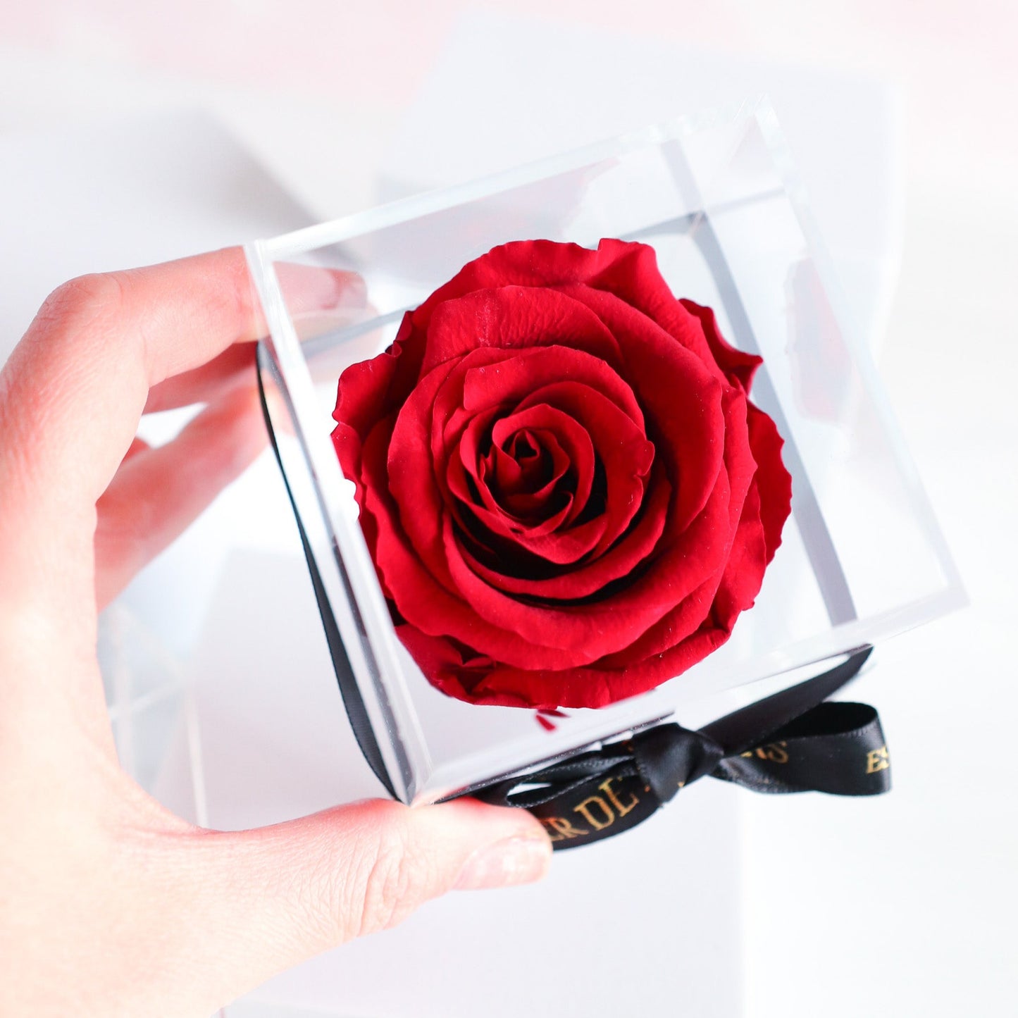 Single Rose in Personalized Acrylic Case