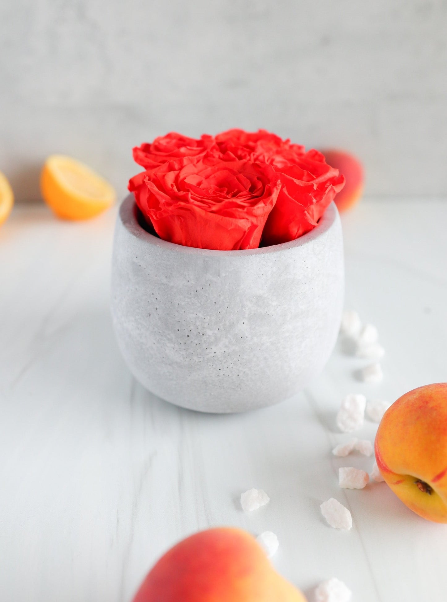 4 Orange Preserved Roses in Cement Vase Centerpiece