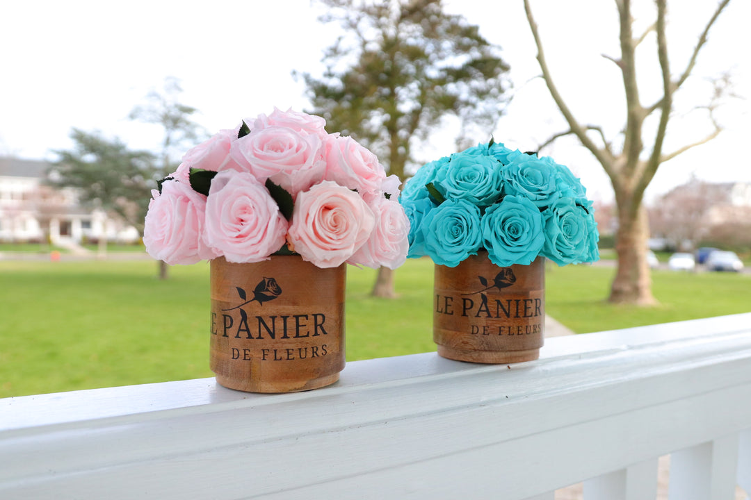 Long lasting Red Roses Spring Lake NJ