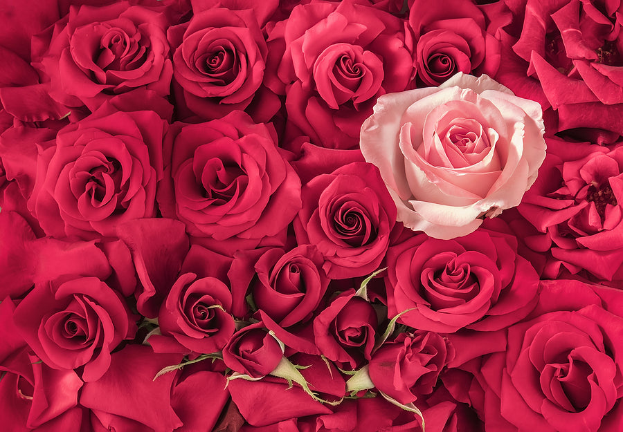 Blow Your Friends and Family Away With a Custom Rose Bouquet