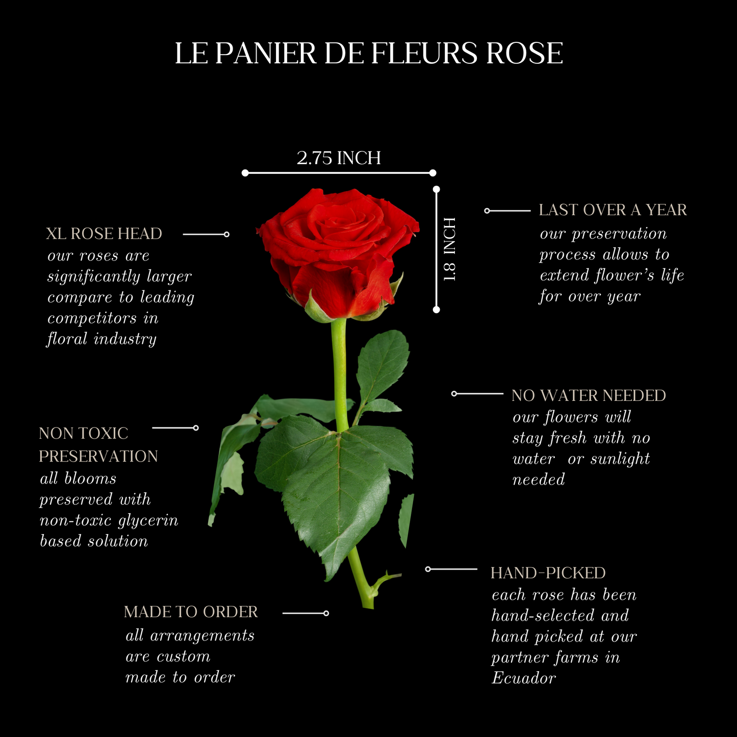 Classique Heart Rose Box
