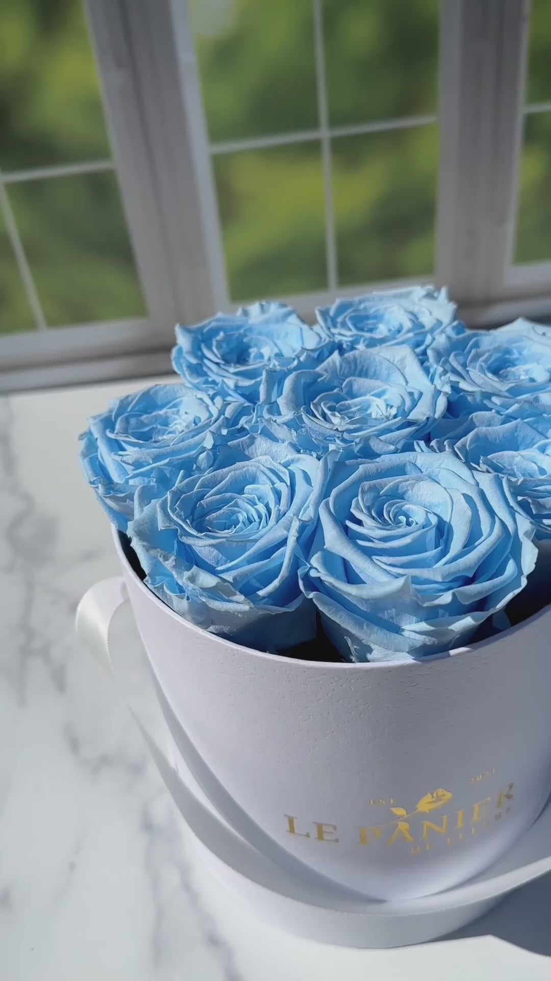 Venus et fleur forever offers roses in baby blue