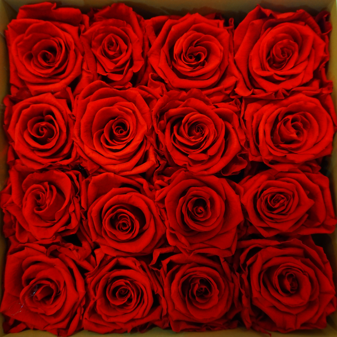 Grande Square Rose Box