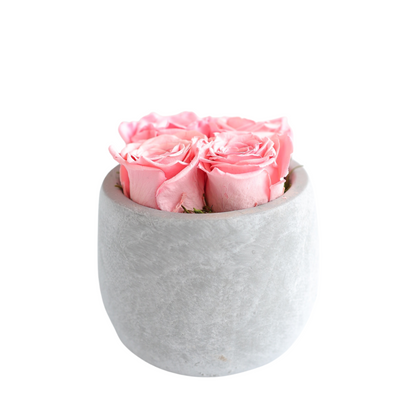 Cement Pot Rose Centerpiece